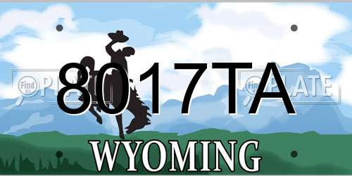 8017TA Wyoming License Plate