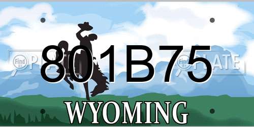 801B75 Wyoming License Plate