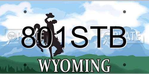 801STB Wyoming License Plate