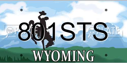 801STS Wyoming License Plate