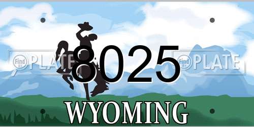 8025 Wyoming License Plate