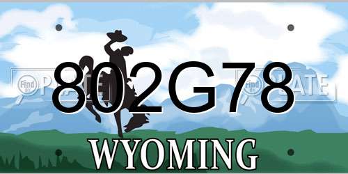 802G78 Wyoming License Plate