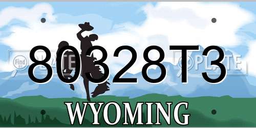 80328T3 Wyoming License Plate