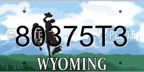 80375T3 Wyoming License Plate