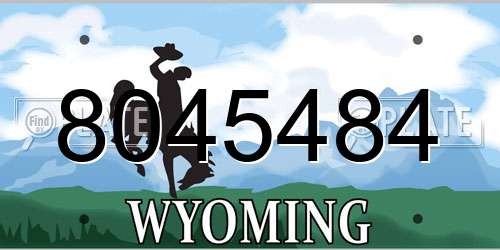 8045484 Wyoming License Plate