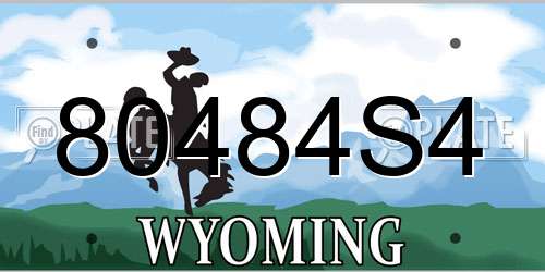 80484S4 Wyoming License Plate