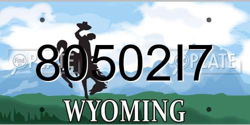 80502I7 Wyoming License Plate