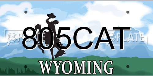 805CAT Wyoming License Plate