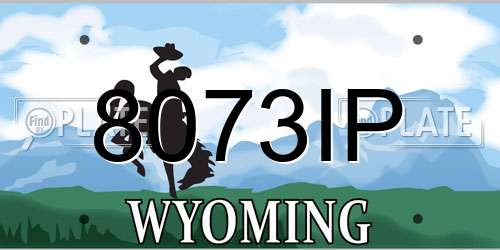8073IP Wyoming License Plate