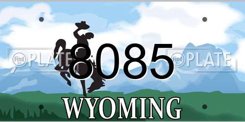 8085 Wyoming License Plate