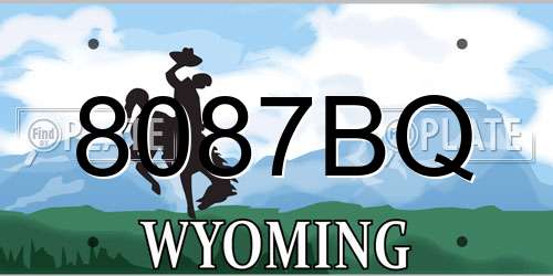 8087BQ Wyoming License Plate