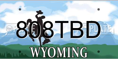 808TBD Wyoming License Plate