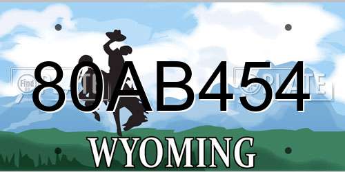 80AB454 Wyoming License Plate