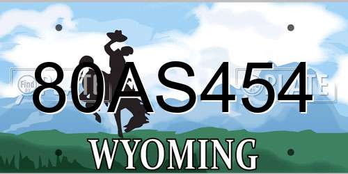 80AS454 Wyoming License Plate