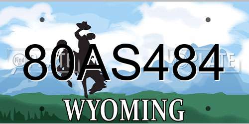 80AS484 Wyoming License Plate