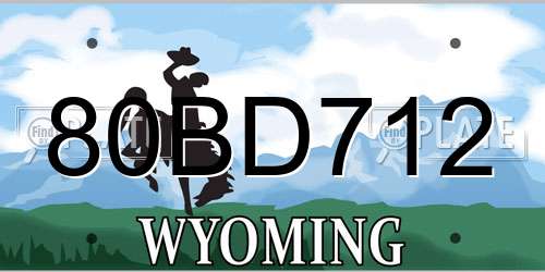 80BD712 Wyoming License Plate