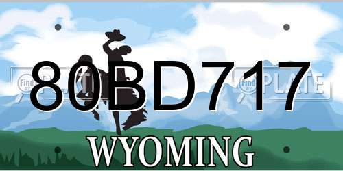 80BD717 Wyoming License Plate