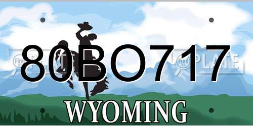 80BO717 Wyoming License Plate