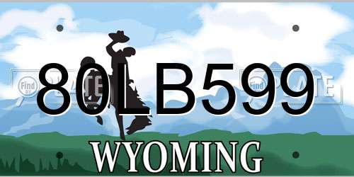 80LB599 Wyoming License Plate