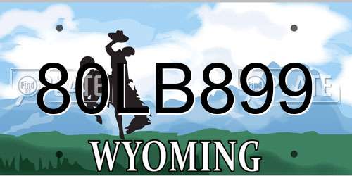 80LB899 Wyoming License Plate