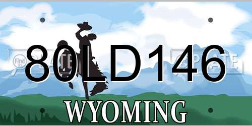 80LD146 Wyoming License Plate
