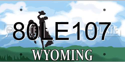 80LE107 Wyoming License Plate