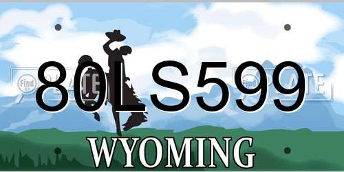 80LS599 Wyoming License Plate