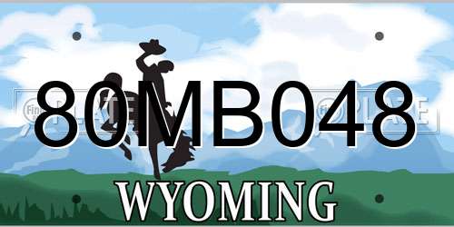 80MB048 Wyoming License Plate
