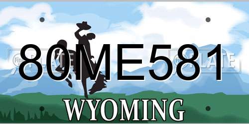 80ME581 Wyoming License Plate