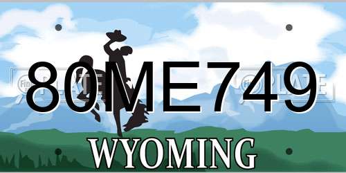 80ME749 Wyoming License Plate