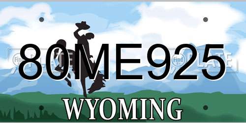 80ME925 Wyoming License Plate