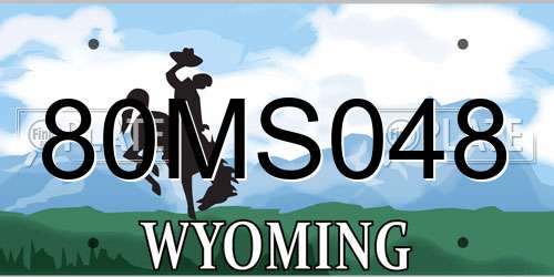 80MS048 Wyoming License Plate