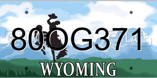 80OG371 Wyoming License Plate