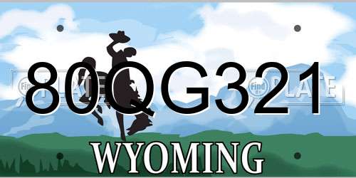 80QG321 Wyoming License Plate