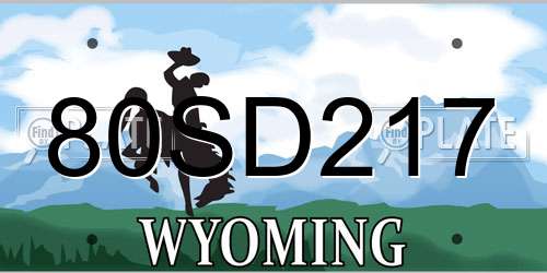 80SD217 Wyoming License Plate
