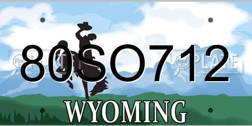 80SO712 Wyoming License Plate