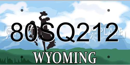 80SQ212 Wyoming License Plate