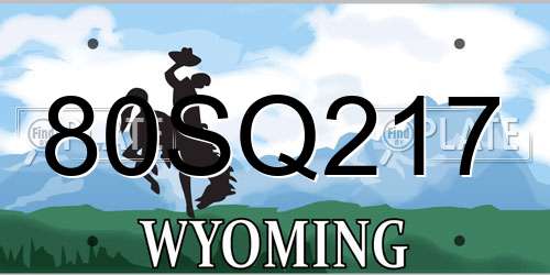 80SQ217 Wyoming License Plate