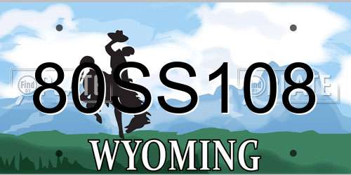 80SS108 Wyoming License Plate