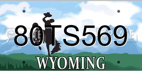 80TS569 Wyoming License Plate
