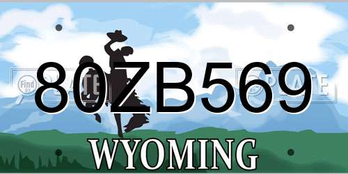 80ZB569 Wyoming License Plate
