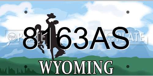 8163AS Wyoming License Plate