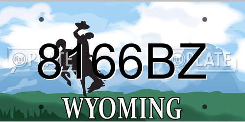8166BZ Wyoming License Plate