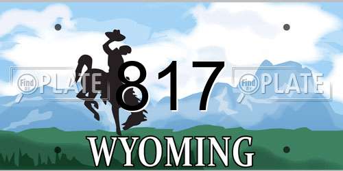 817 Wyoming License Plate