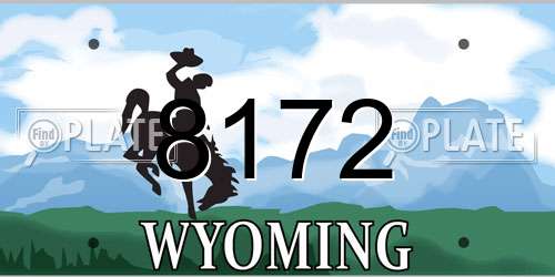 8172 Wyoming License Plate