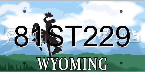 81ST229 Wyoming License Plate