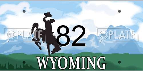 82 Wyoming License Plate