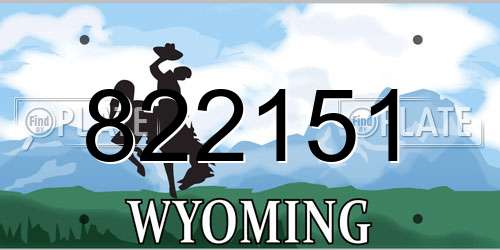 822151 Wyoming License Plate
