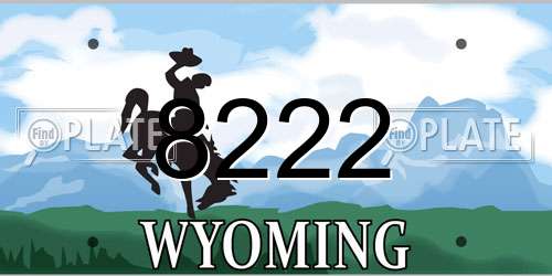 8222 Wyoming License Plate