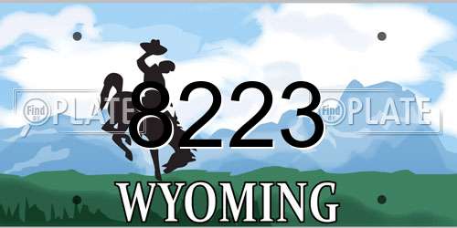 8223 Wyoming License Plate